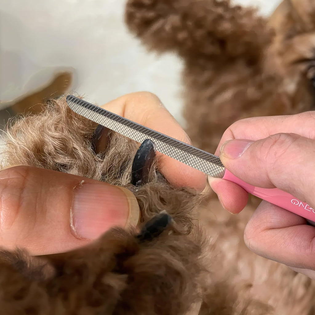 4.7" Stainless Steel Nail Clipper for Small Pets - Professional and Home Use Trimmers for Dogs, Cats, Rabbits, Guinea Pigs, Birds, and More (Purple)