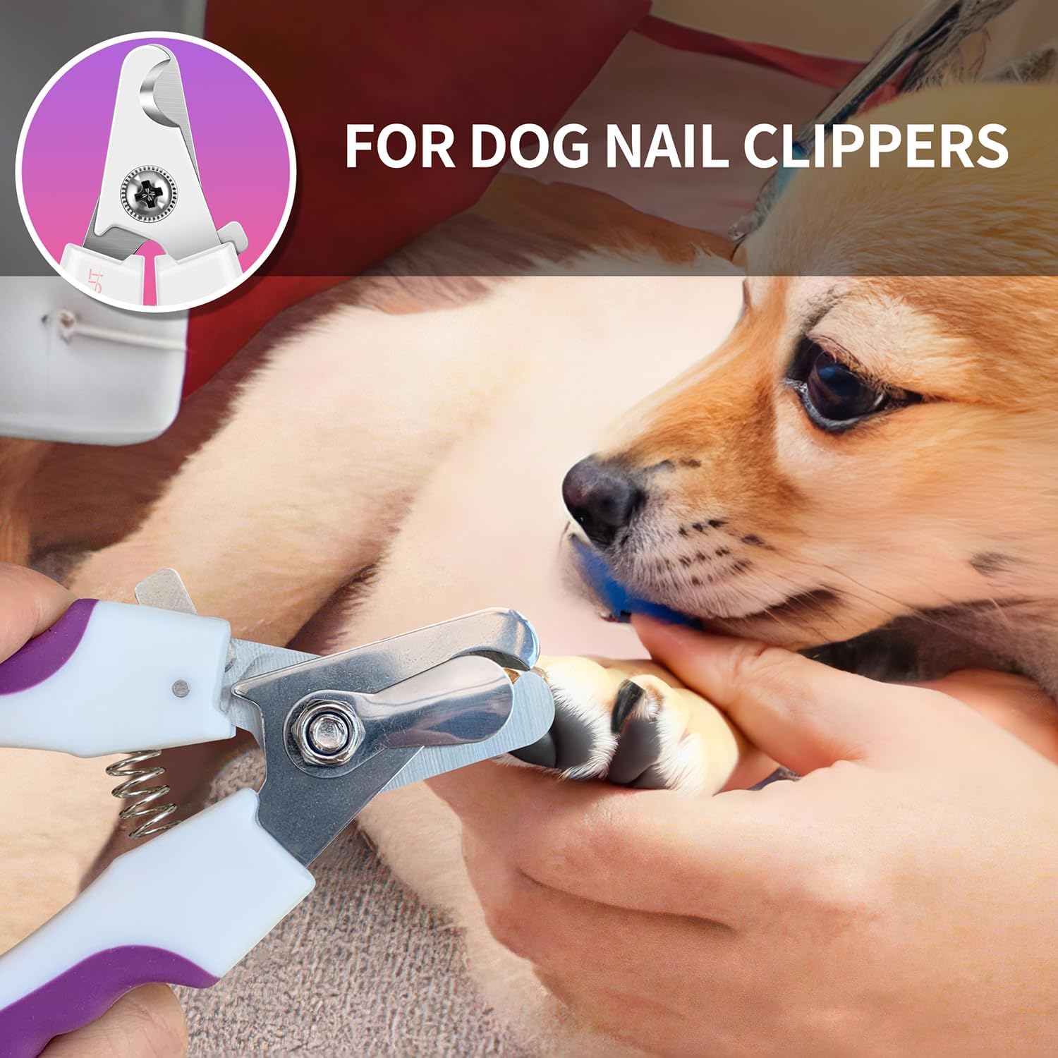 4.7" Stainless Steel Nail Clipper for Small Pets - Professional and Home Use Trimmers for Dogs, Cats, Rabbits, Guinea Pigs, Birds, and More (Purple)